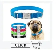 Personalisierte Namens-ID-Tags, Hundehalsbänder, individueller Text, Name, Leder-Hundehalsband für kleine, mittelgroße und große Hunde, Pitbull, Bulldogge, Beagle
