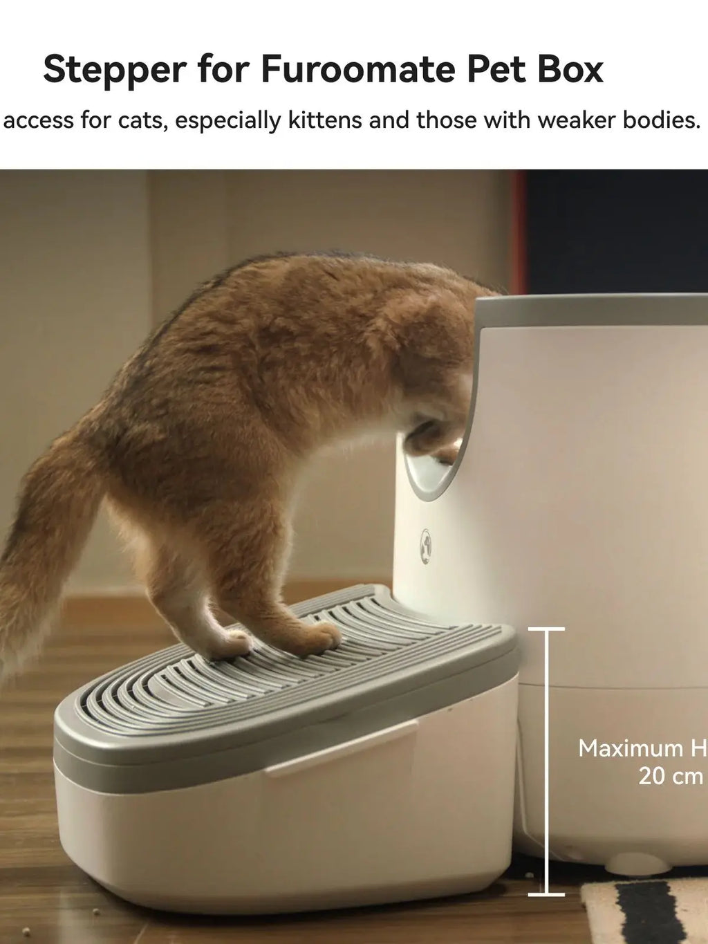 IRON WOLVES Selbstreinigende Katzentoilette – Offen & Hygienisch