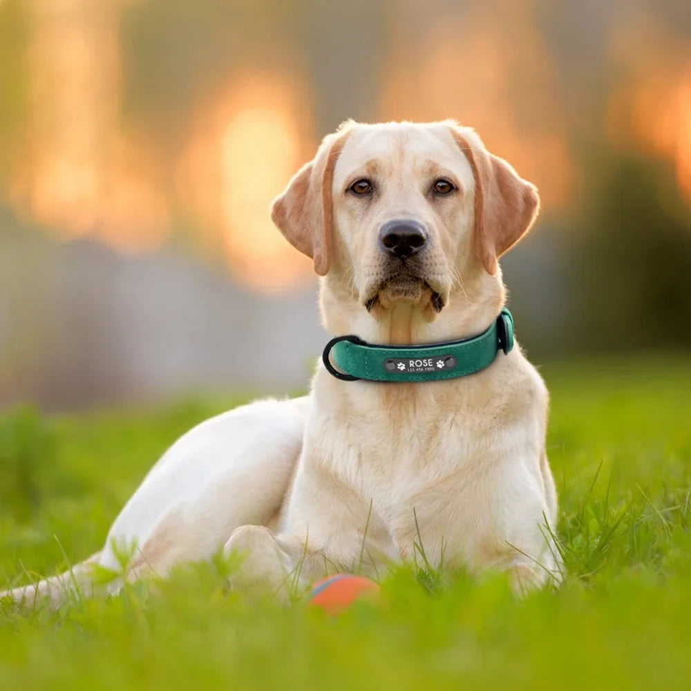 Personalisierte Namens-ID-Tags, Hundehalsbänder, individueller Text, Name, Leder-Hundehalsband für kleine, mittelgroße und große Hunde, Pitbull, Bulldogge, Beagle