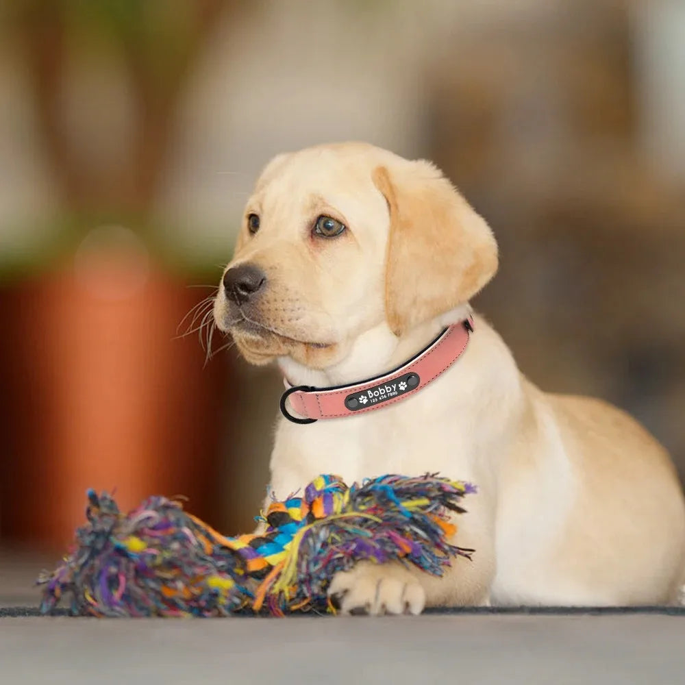 Personalisierte Namens-ID-Tags, Hundehalsbänder, individueller Text, Name, Leder-Hundehalsband für kleine, mittelgroße und große Hunde, Pitbull, Bulldogge, Beagle