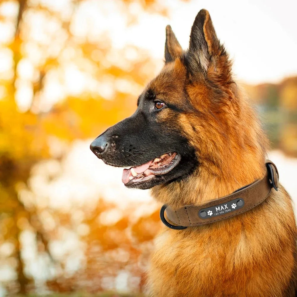 Personalisierte Namens-ID-Tags, Hundehalsbänder, individueller Text, Name, Leder-Hundehalsband für kleine, mittelgroße und große Hunde, Pitbull, Bulldogge, Beagle
