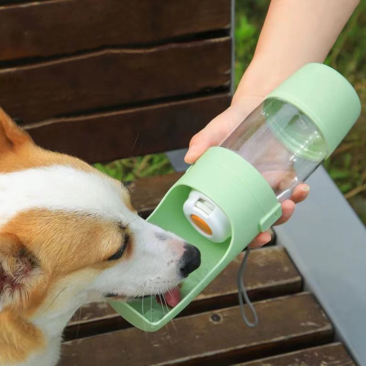 tragbare grüne Haustier-Wasserflasche mit integriertem Futterbehälter beim Trinken eines Hundes