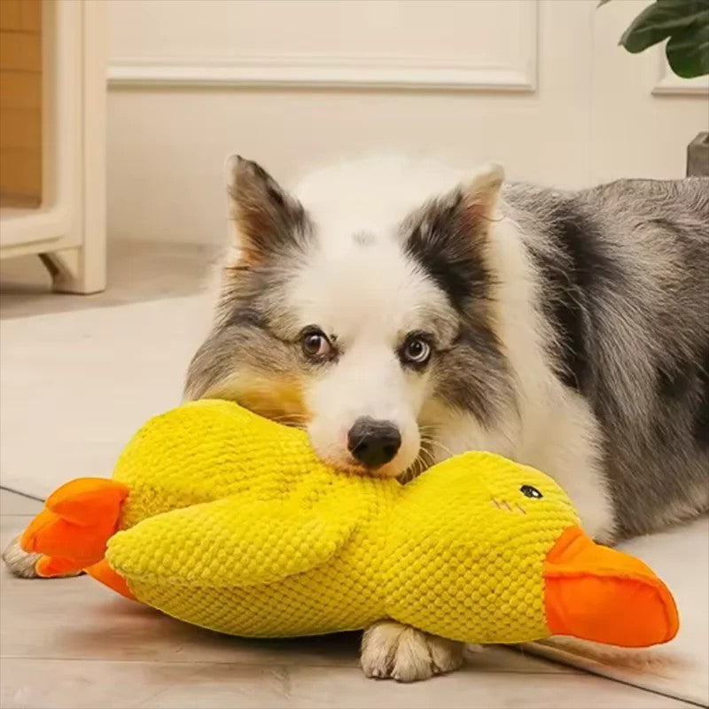 Valley of the Wolves Hund spielt mit einem gelben Enten-Quietschspielzeug aus weichem Fleece für Hunde