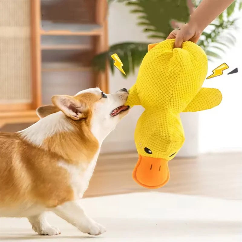 Valley of the Wolves Enten-Hundespielzeug aus gelbem Fleece mit Quietscher, das von einem Corgi bespielt wird